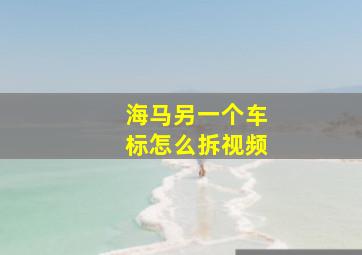 海马另一个车标怎么拆视频