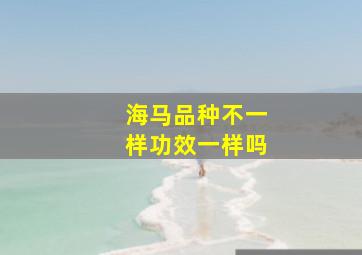 海马品种不一样功效一样吗