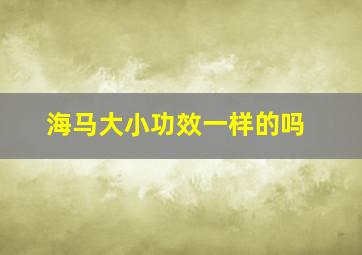 海马大小功效一样的吗