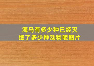 海马有多少种已经灭绝了多少种动物呢图片