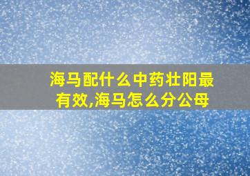 海马配什么中药壮阳最有效,海马怎么分公母