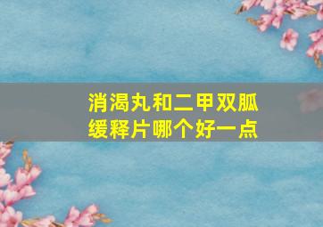 消渴丸和二甲双胍缓释片哪个好一点