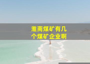 淮南煤矿有几个煤矿企业啊