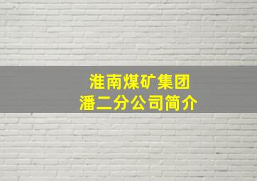 淮南煤矿集团潘二分公司简介