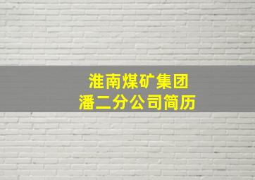 淮南煤矿集团潘二分公司简历