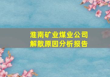 淮南矿业煤业公司解散原因分析报告