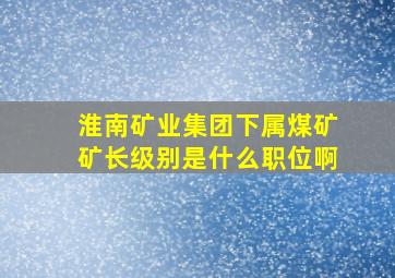 淮南矿业集团下属煤矿矿长级别是什么职位啊