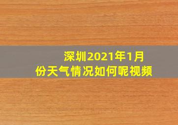 深圳2021年1月份天气情况如何呢视频