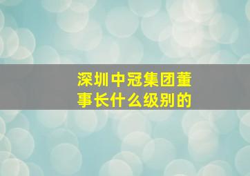 深圳中冠集团董事长什么级别的