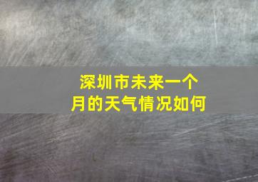 深圳市未来一个月的天气情况如何