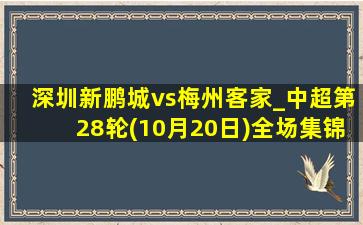 深圳新鹏城vs梅州客家_中超第28轮(10月20日)全场集锦