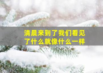 清晨来到了我们看见了什么就像什么一样