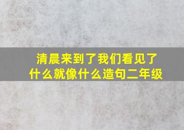 清晨来到了我们看见了什么就像什么造句二年级