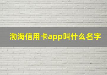 渤海信用卡app叫什么名字