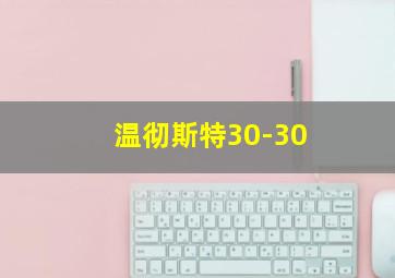 温彻斯特30-30