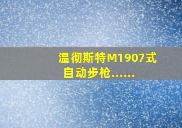 温彻斯特M1907式自动步枪......