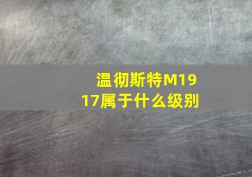 温彻斯特M1917属于什么级别