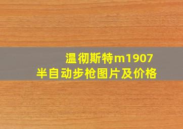 温彻斯特m1907半自动步枪图片及价格