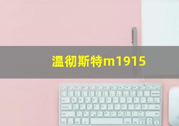 温彻斯特m1915