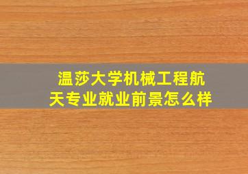 温莎大学机械工程航天专业就业前景怎么样