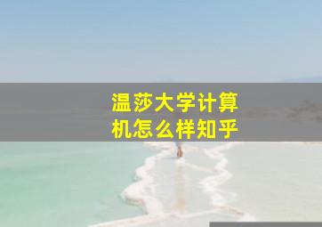 温莎大学计算机怎么样知乎