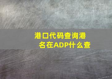 港口代码查询港名在ADP什么查