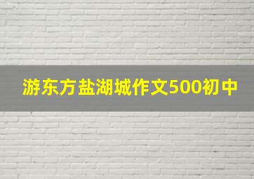 游东方盐湖城作文500初中