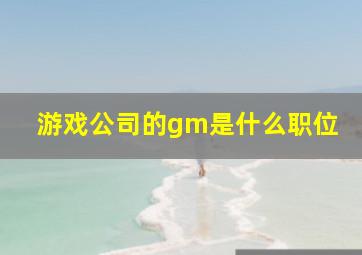 游戏公司的gm是什么职位