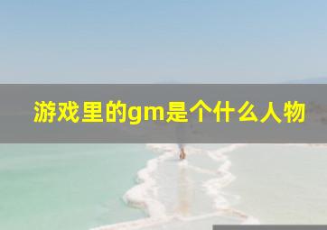 游戏里的gm是个什么人物