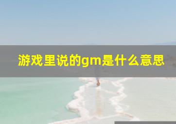 游戏里说的gm是什么意思