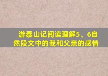 游泰山记阅读理解5、6自然段文中的我和父亲的感情