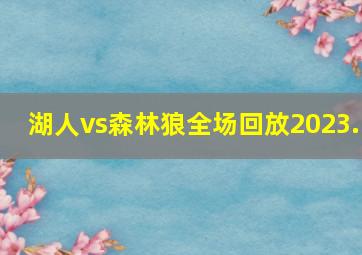 湖人vs森林狼全场回放2023.