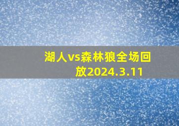 湖人vs森林狼全场回放2024.3.11