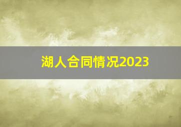 湖人合同情况2023