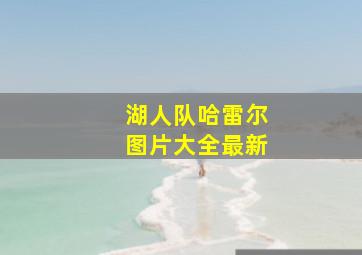 湖人队哈雷尔图片大全最新