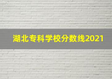 湖北专科学校分数线2021