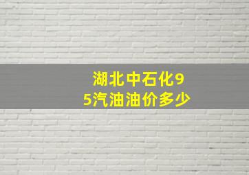 湖北中石化95汽油油价多少