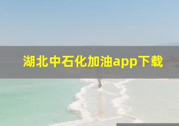 湖北中石化加油app下载