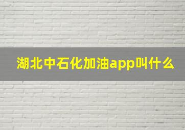 湖北中石化加油app叫什么