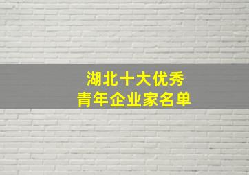 湖北十大优秀青年企业家名单