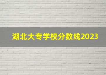 湖北大专学校分数线2023