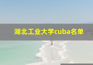 湖北工业大学cuba名单