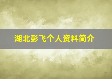 湖北彭飞个人资料简介