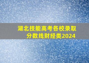 湖北技能高考各校录取分数线财经类2024