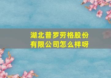 湖北普罗劳格股份有限公司怎么样呀