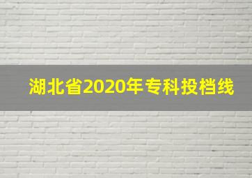 湖北省2020年专科投档线