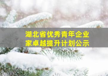 湖北省优秀青年企业家卓越提升计划公示