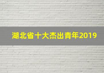 湖北省十大杰出青年2019