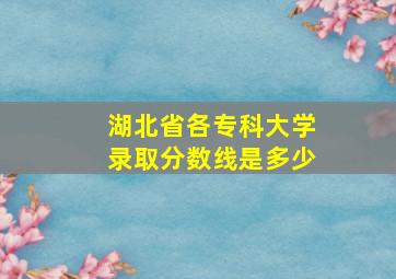 湖北省各专科大学录取分数线是多少