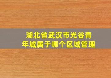 湖北省武汉市光谷青年城属于哪个区域管理